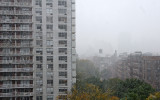 DSC_6321.JPG