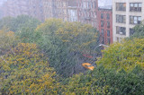 DSC_6327.JPG