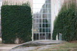Metropolitan Museum of Art, Ivy Walls & Window Reflections