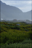 Betty's Bay, extreme southern Cape