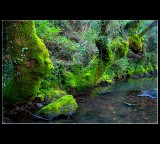 ... A bit of green ... III