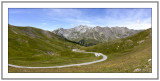 Col d'Allos - 04014