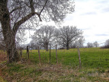 A Olympus D-40 Image