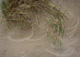 its been windy too