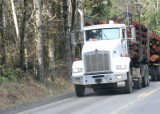 yet another log truck