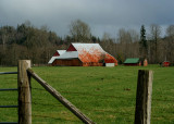 rusty roof