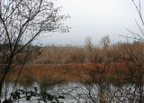 skoke in winter