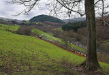 Steam Train