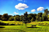 Long Grove, IL