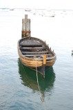 The Boat
