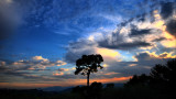 Dusk