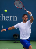 Fernando Verdasco, 2011