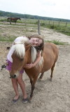 les_chevaux