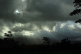 Silhouettes and God Rays
