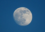 Almost Full Moon