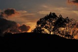 Painted Sky