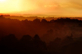 after the rain