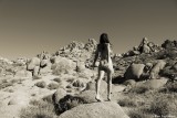 IMG_5951 (Higher Ground)