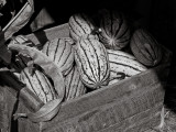 Box of Melons