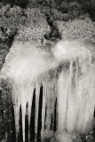 Reindeer Moss and Icicles Mono Variation 1