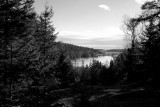 Little Long Pond Overlook with Boathouse Mono