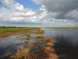 Lake Okeechobee scenic trail