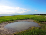 Lake Okeechobee scenic trail
