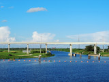 Lake Okeechobee scenic trail