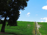 Lake Okeechobee scenic trail