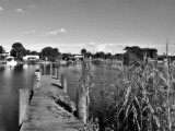 Lake Okeechobee scenic trail