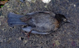 january_21_2012