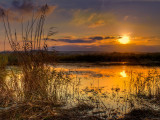 Sundown at Shapwick, Somerset