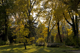 Fall shadows