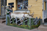 Reindeer for sale?