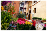 Trastevere