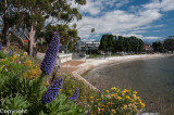 Sandy Bay