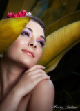Model Sev IMG_6253_2416.jpg