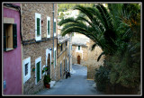 Calle - Street