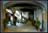 Patio Mallorquin - Majorcan Patio