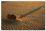Dunas - Sand Dunes