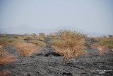 11-Lava Fields.JPG