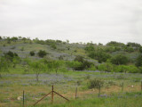 Hwy 501 (2012)