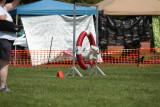 CJ6D2576.jpg