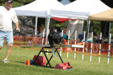 CJ6D2777.jpg