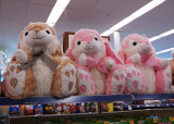 EASTER BUNNIES - ISO 200