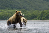 Kurilskoye lake - Kamchatka - Russia
