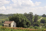 Rio Dao - Portugal