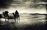 india, thar desert