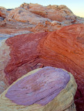 Purple cap, Valley of Fire, NV