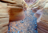 Pink Canyon, Valley of Fire, NV